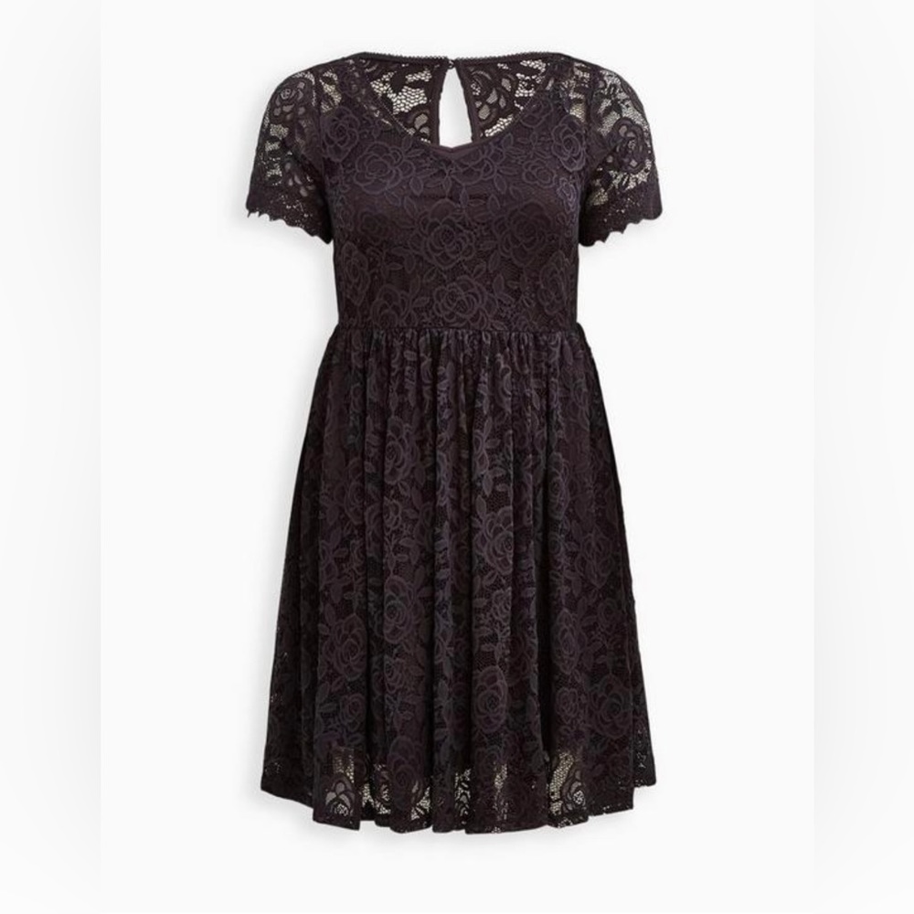 Mini Lace Skater Dress